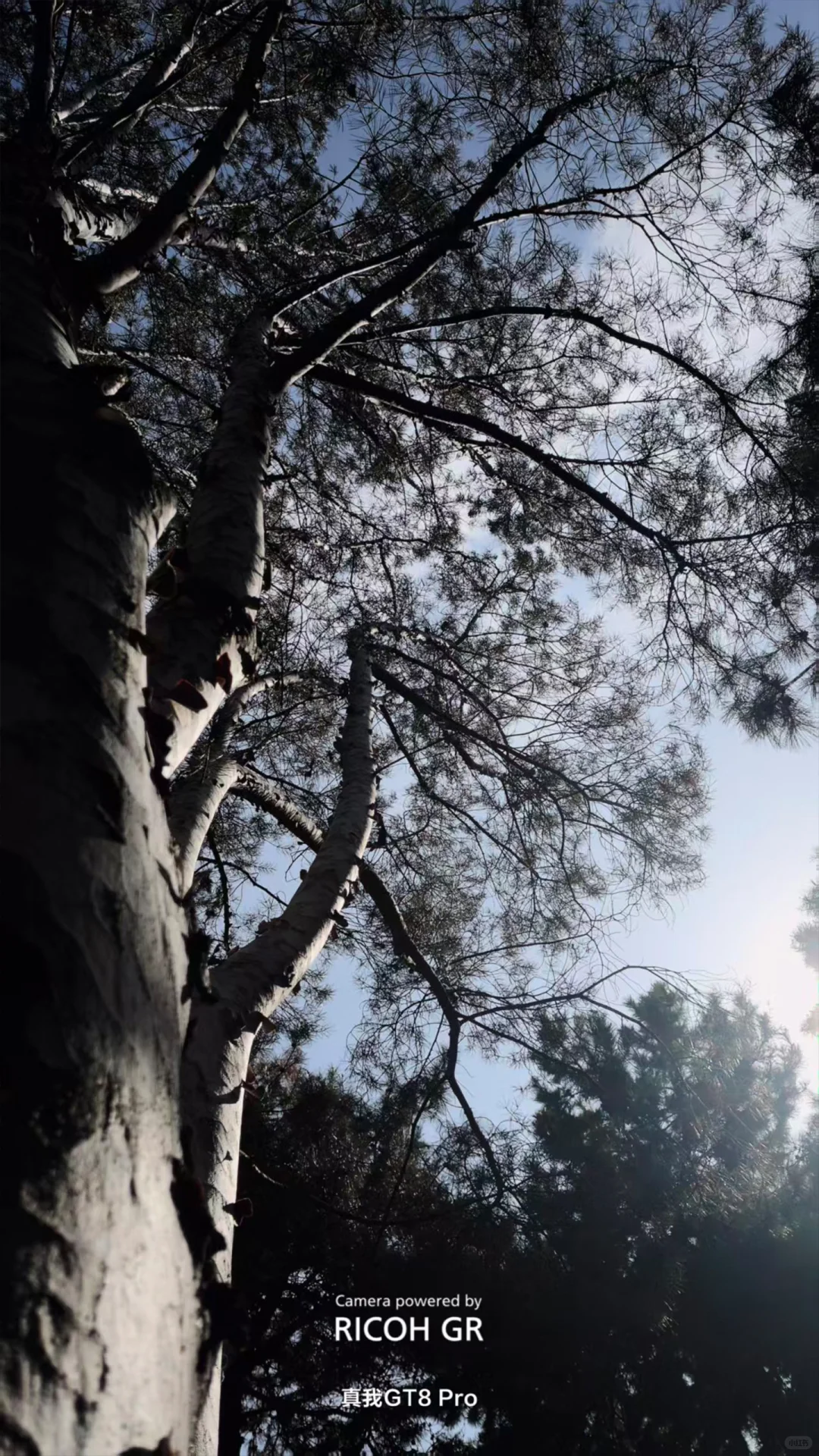 把真我GT8 Pro的价值发掘出来！