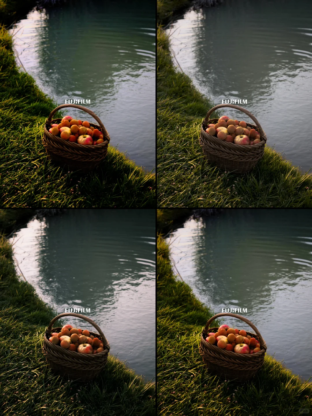 iPhone成功用上富士开源胶片模拟Lut‼️