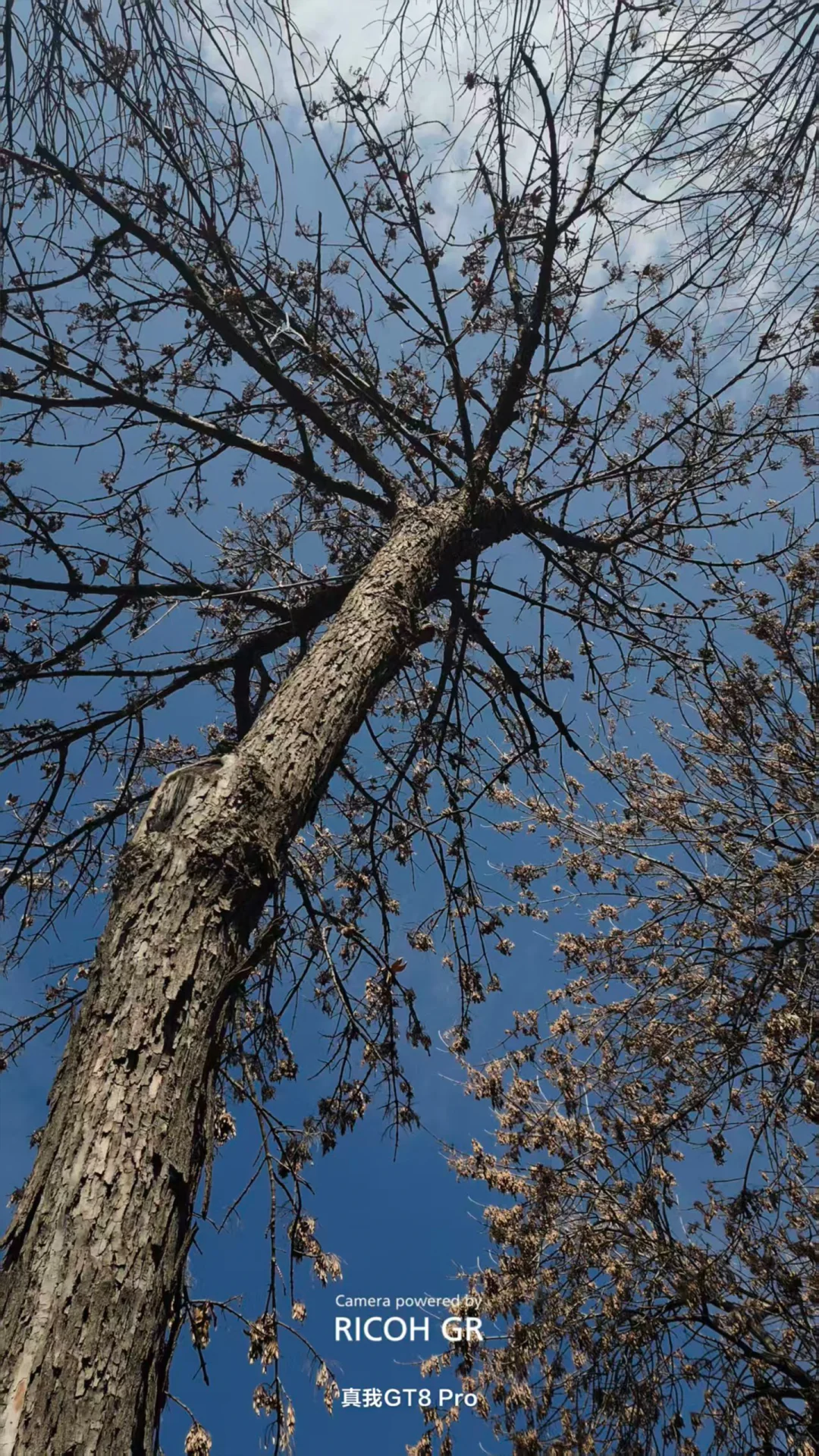 把真我GT8 Pro的价值发掘出来！