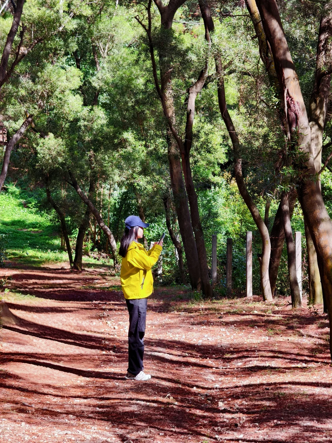 柳州三门江徒步｜在城市森林里拍出森系大片