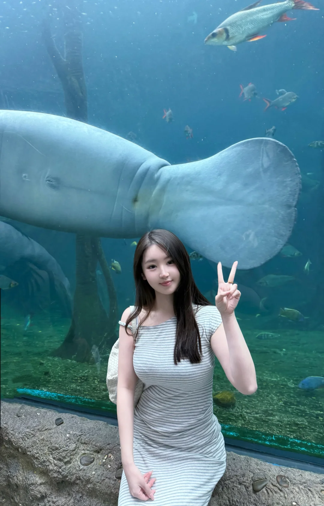 和小鱼布噜布噜的一天ᐝ🐡🐠🐬🐋