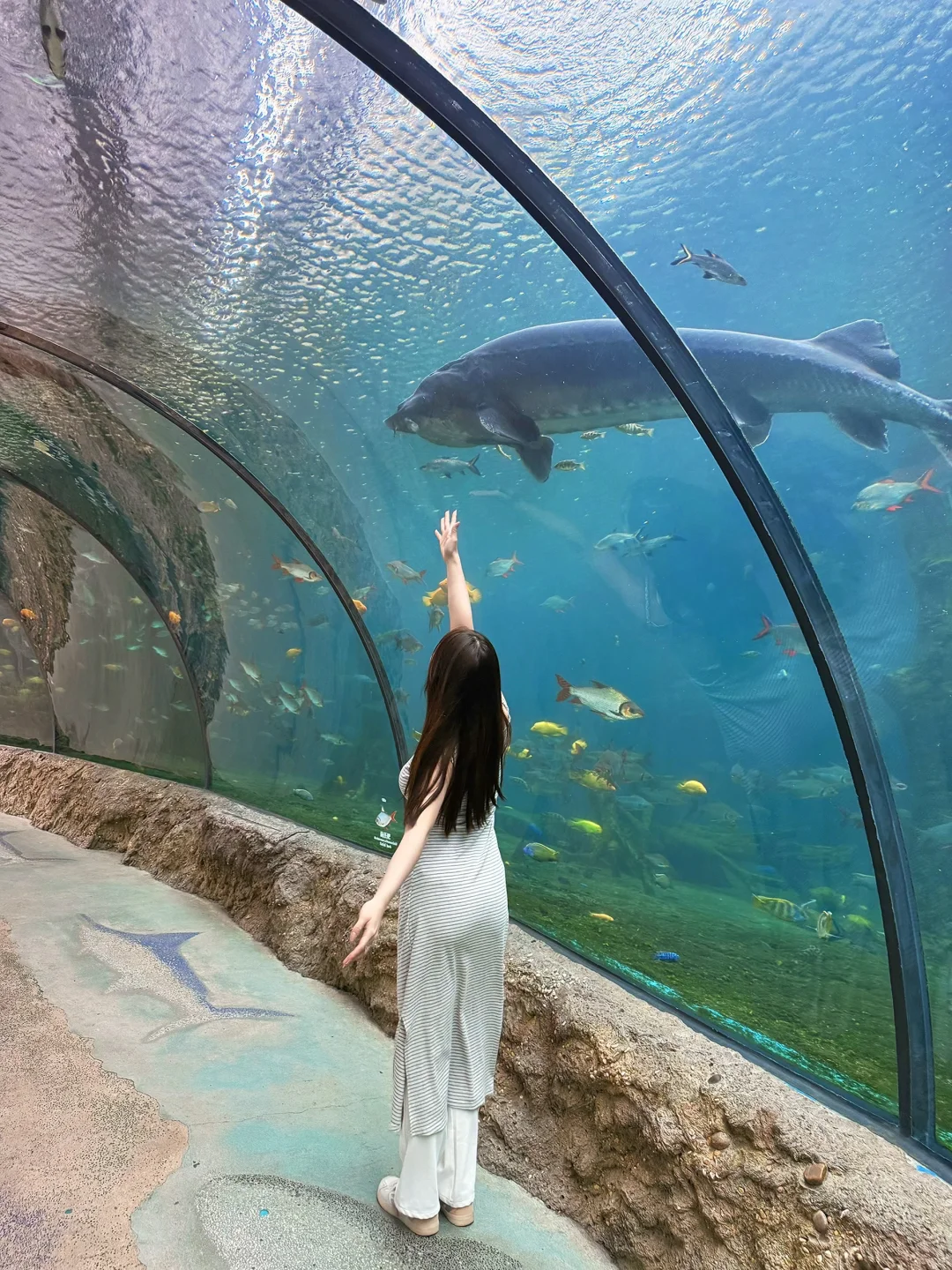 和小鱼布噜布噜的一天ᐝ🐡🐠🐬🐋