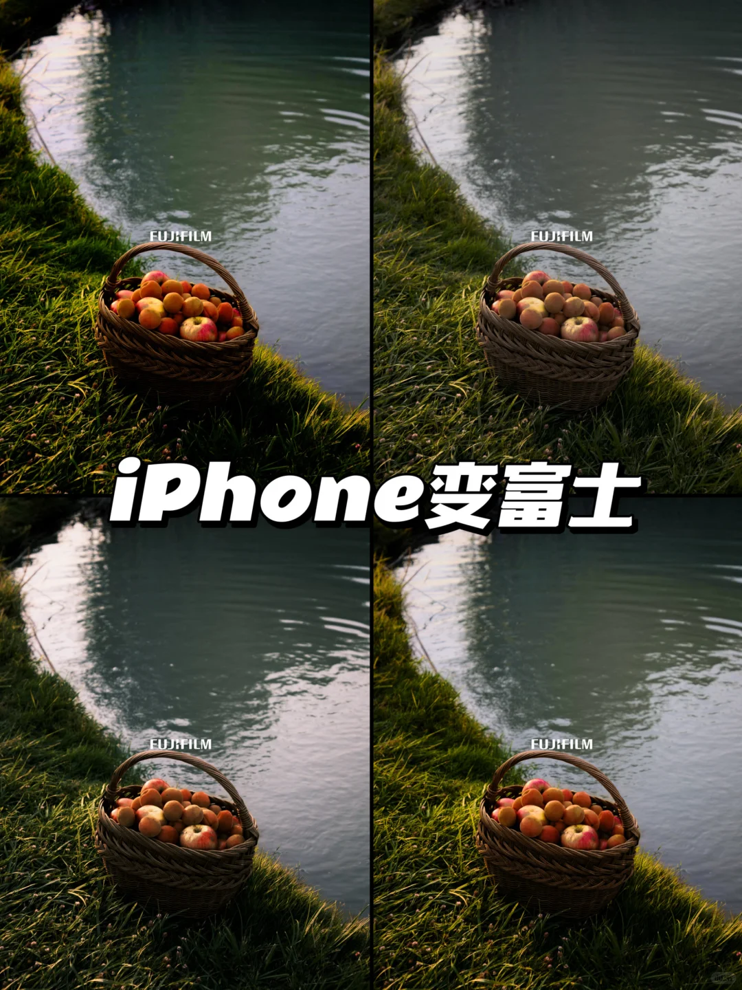 iPhone成功用上富士开源胶片模拟Lut‼️