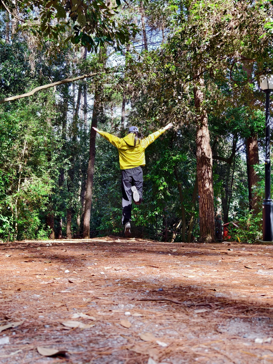 柳州三门江徒步｜在城市森林里拍出森系大片
