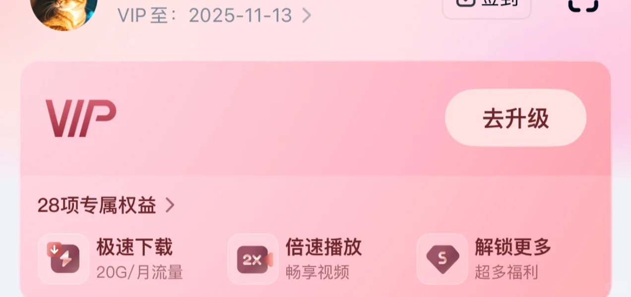 谁需要极速下载👀