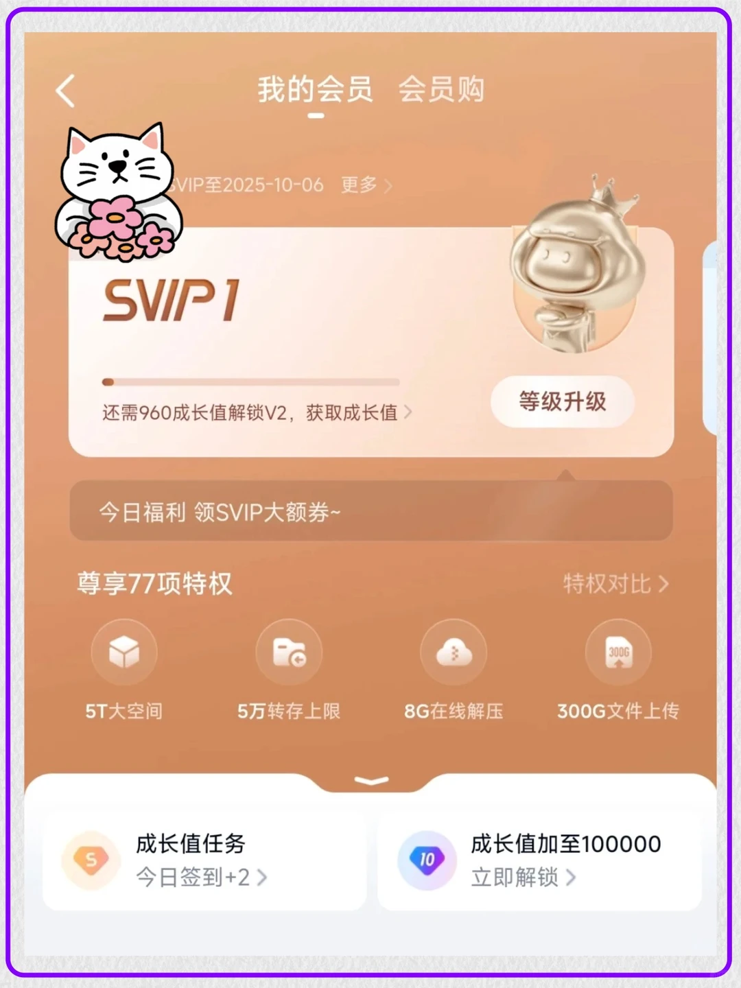 百度网盘svip会员14天竟然到账了！