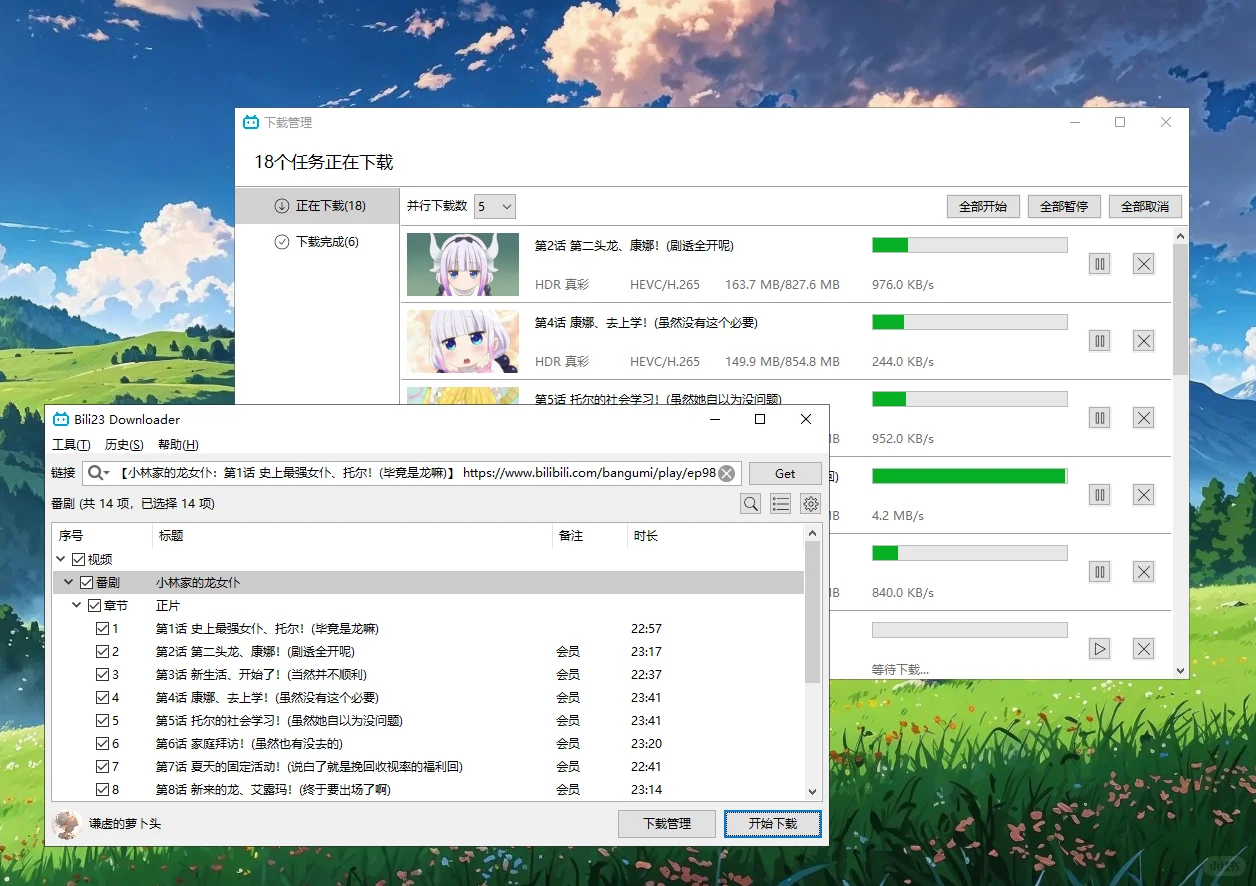 B站视频下载工具免费分享