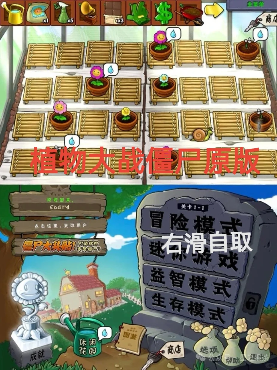 植物大战僵尸原版下载教程经典还得看原版