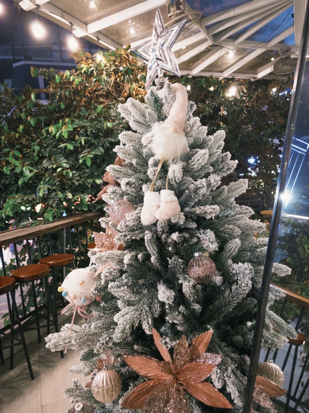 驻越日记｜解锁电影卡🦊ᯓ.🐰 ⁺⁎˚