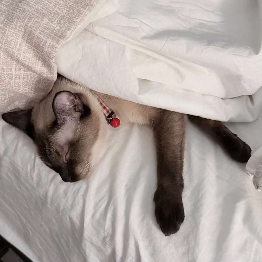 听我一句劝，别买爱一帆app会员