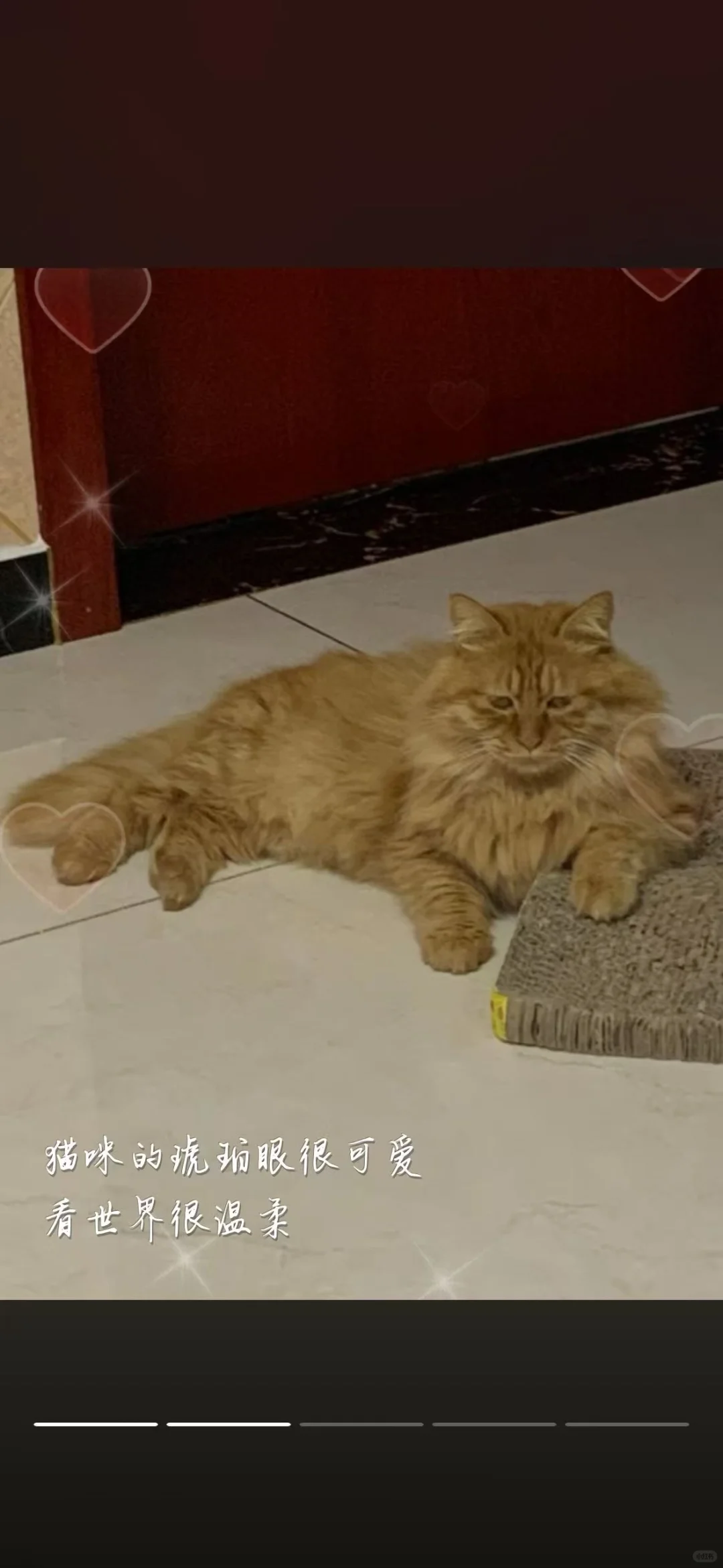 百度网盘你没事干你就提高点下载速度