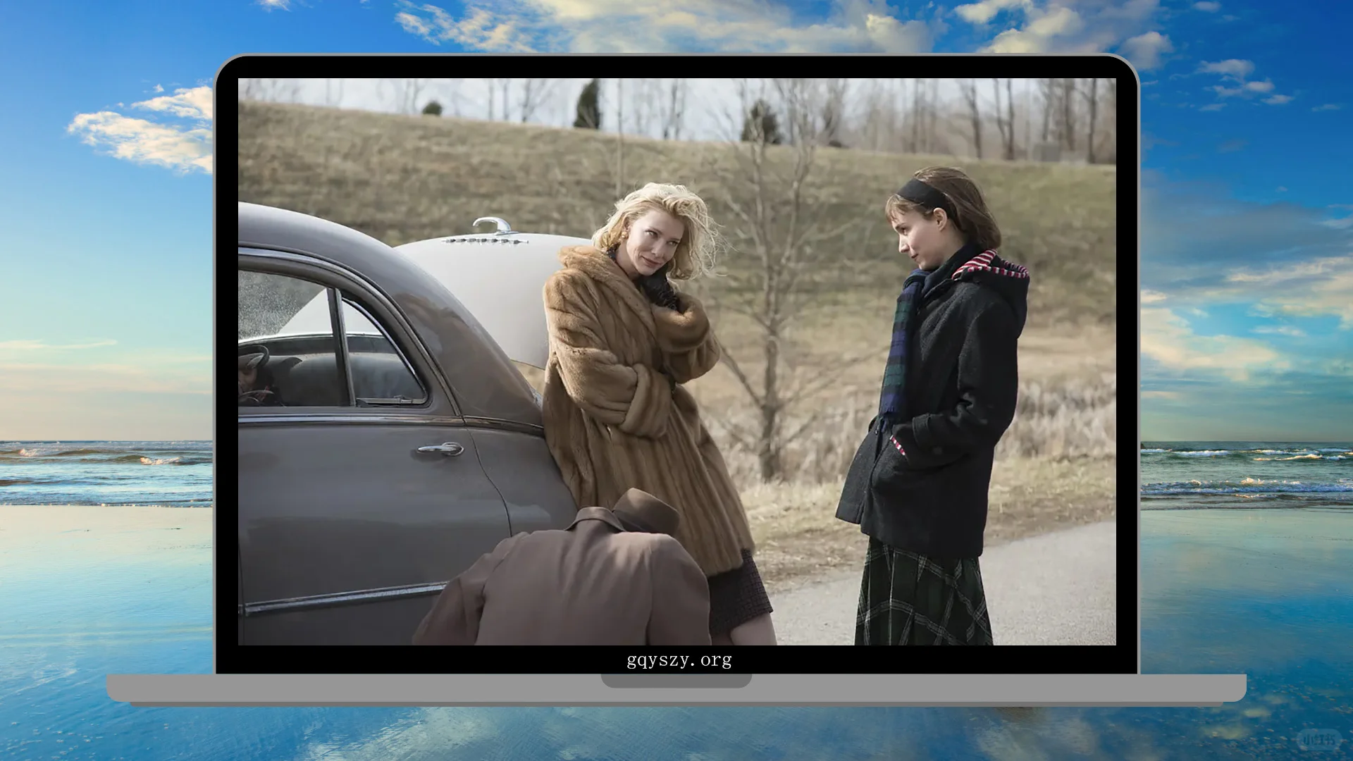 分享卡罗尔的精美壁纸 喜欢的朋友礼貌拿图