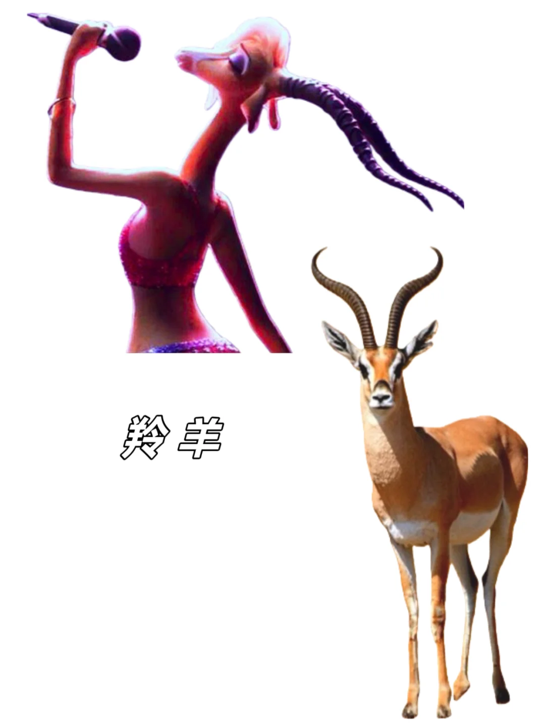 🉑下载｜【疯狂动物城2】动物原型找到了‼️