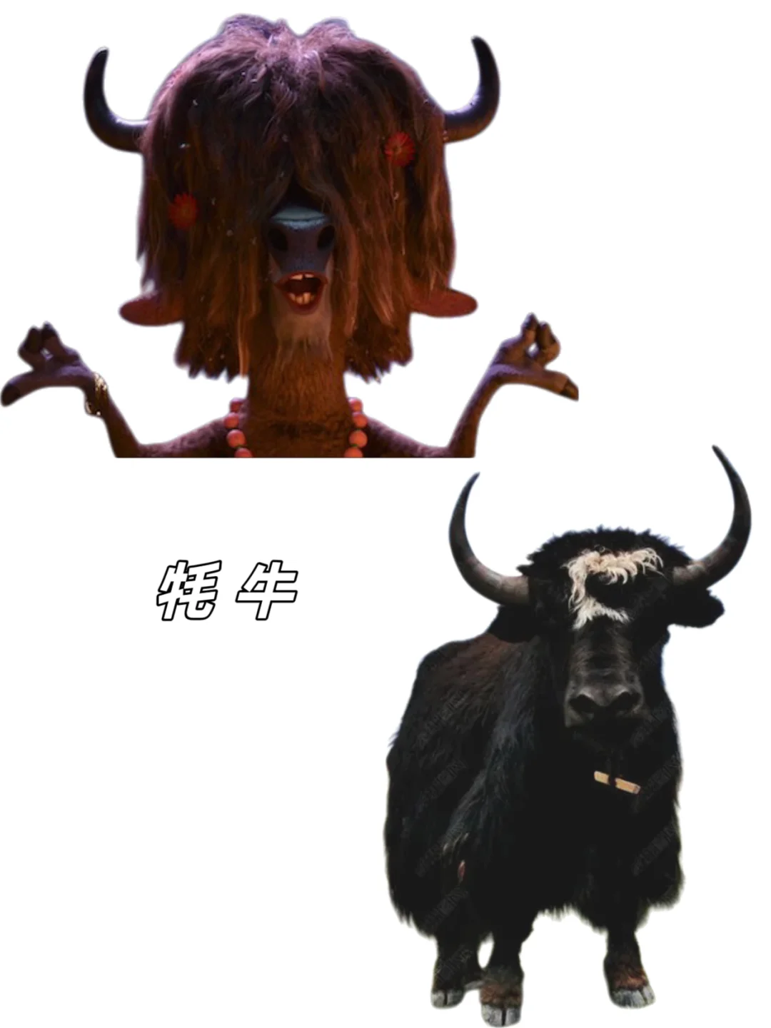 🉑下载｜【疯狂动物城2】动物原型找到了‼️