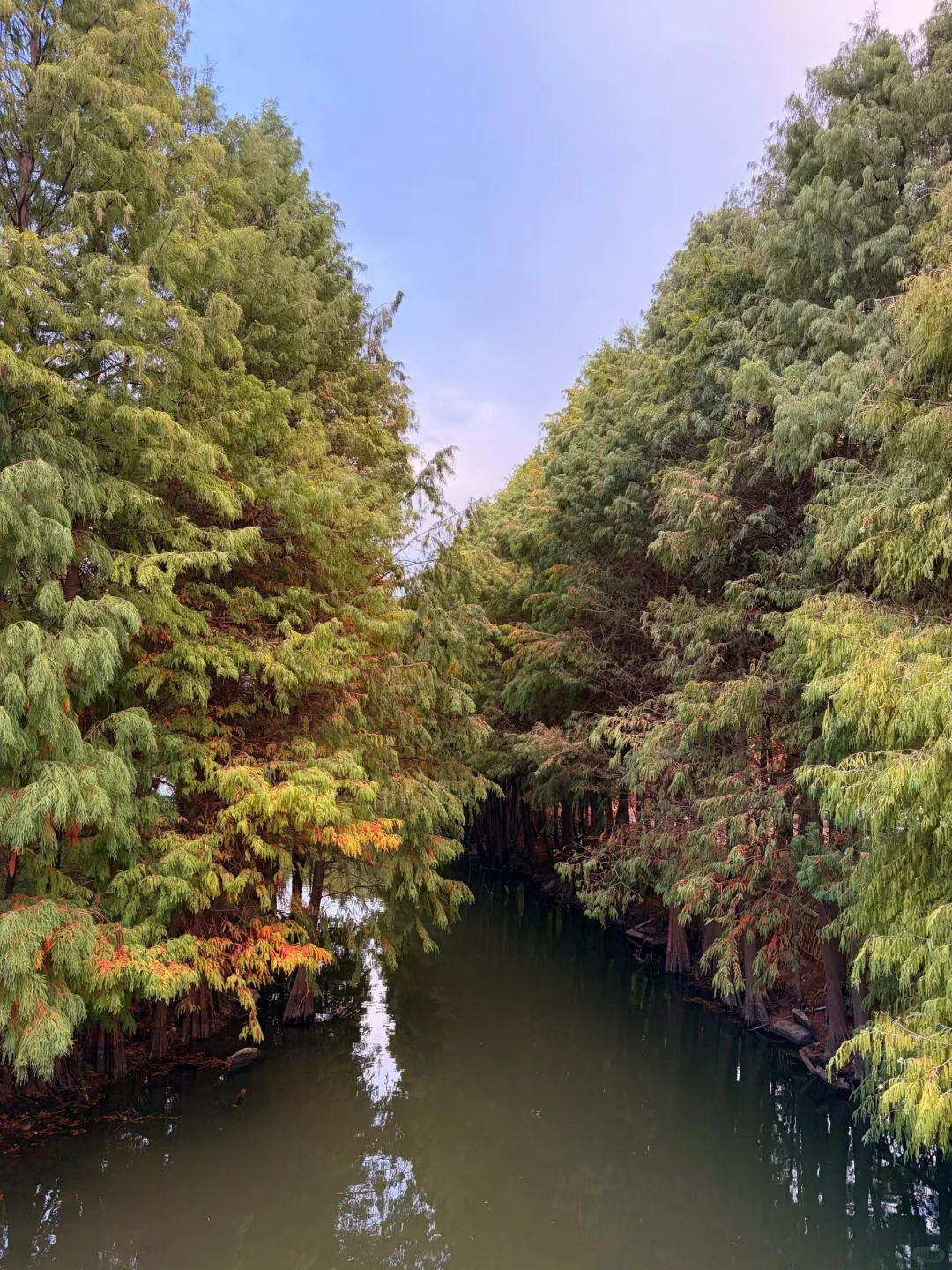 用百度网盘存Live图！让美好记忆动起来～