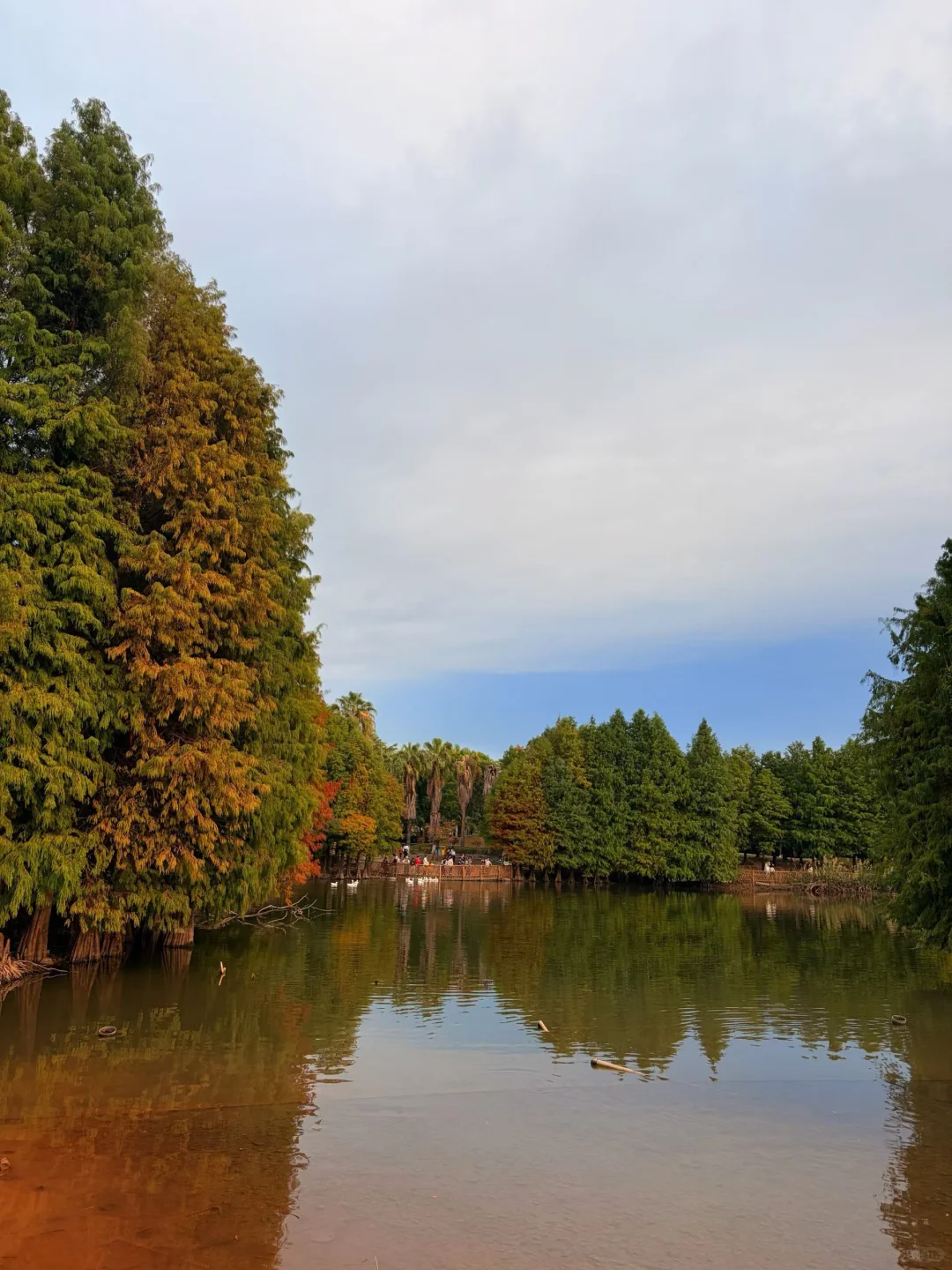 用百度网盘存Live图！让美好记忆动起来～