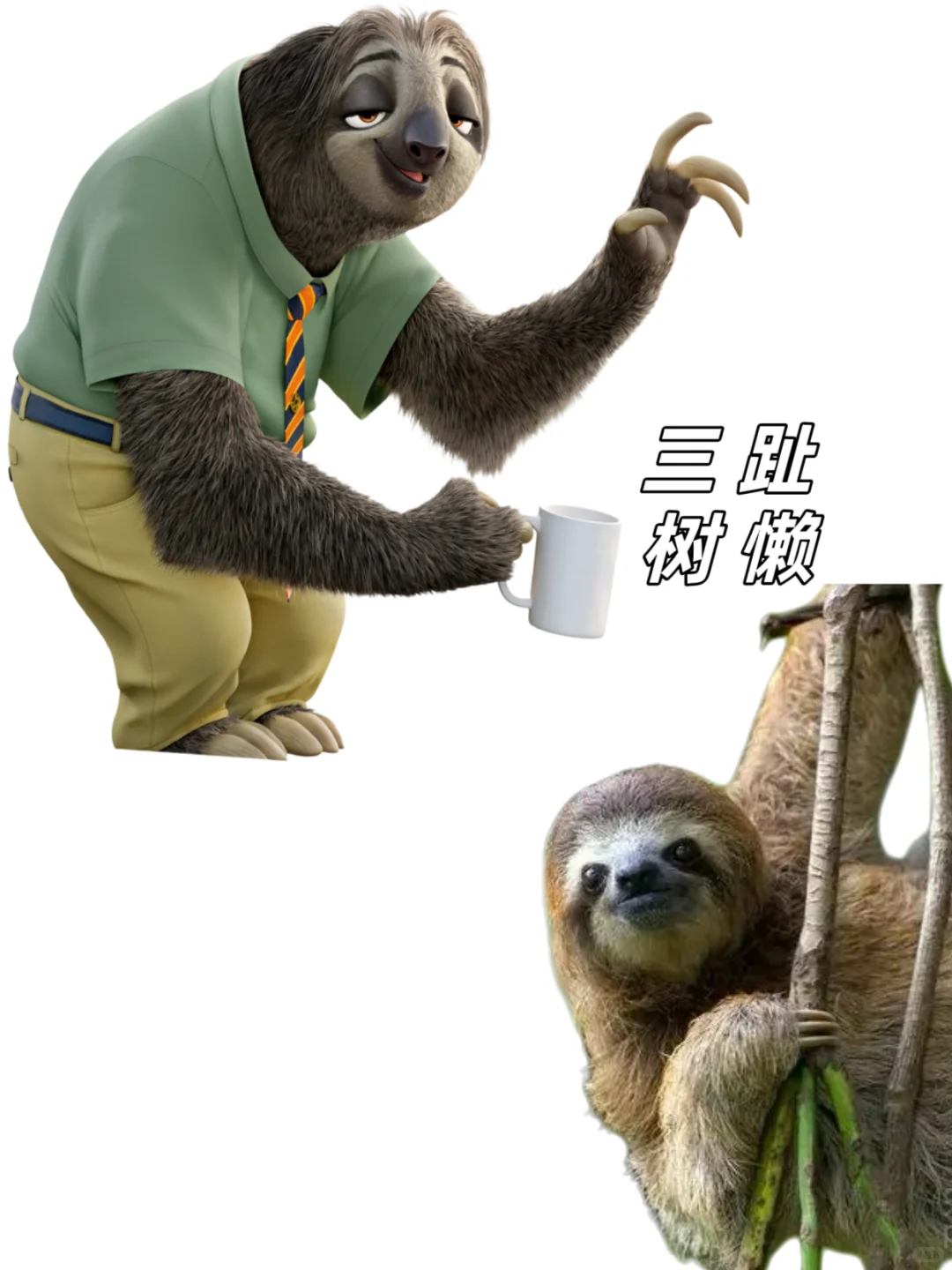 🉑下载｜【疯狂动物城2】动物原型找到了‼️