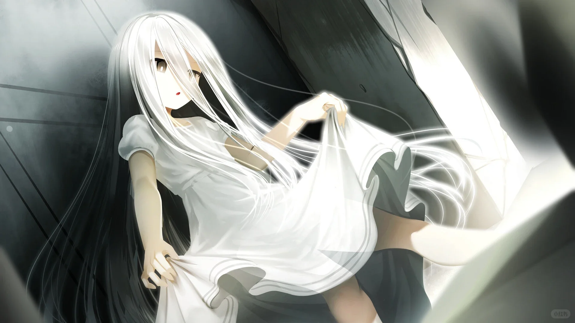 【游戏分享】生死同途