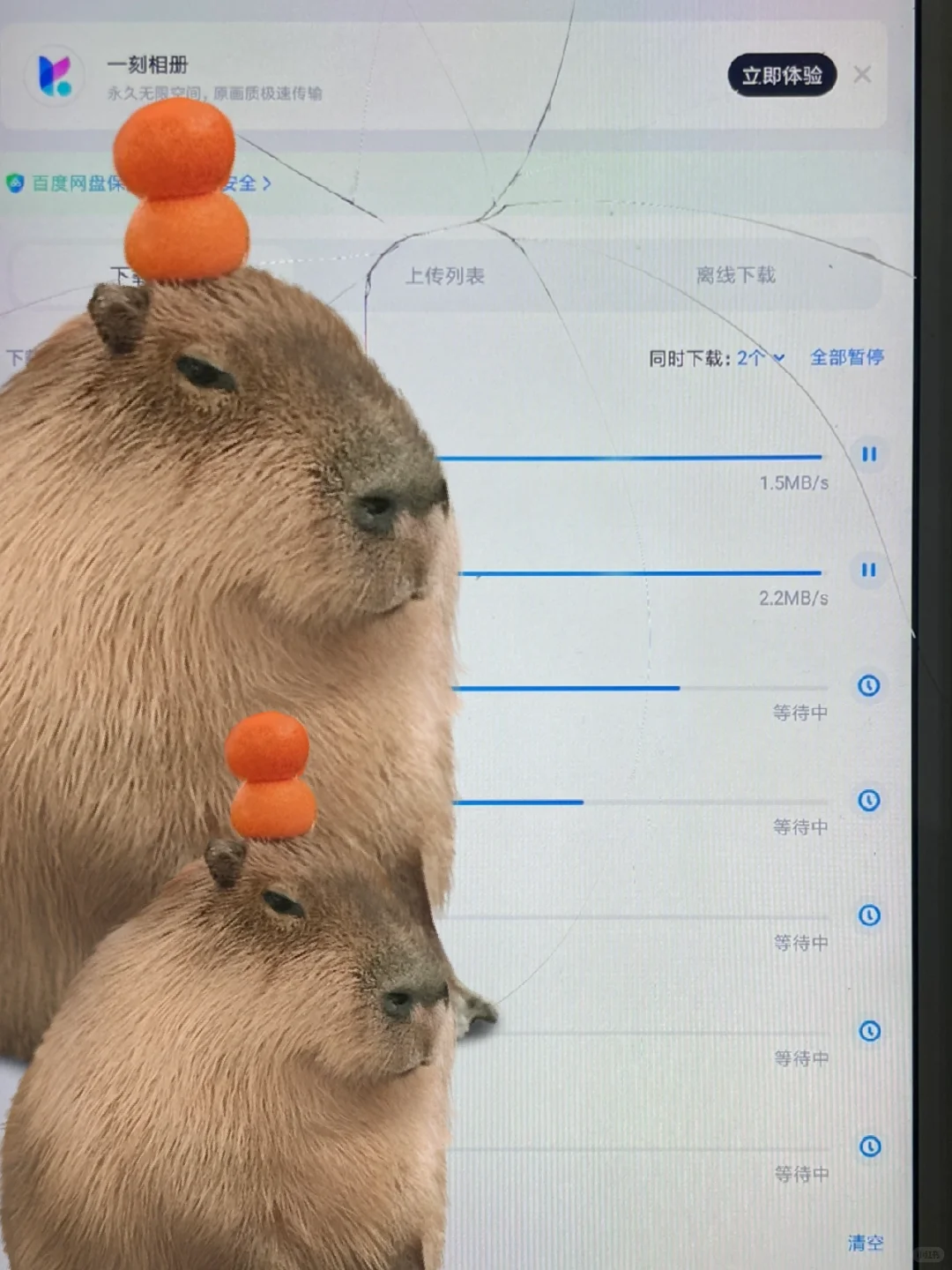 百🐶网盘，你不要太过分！！