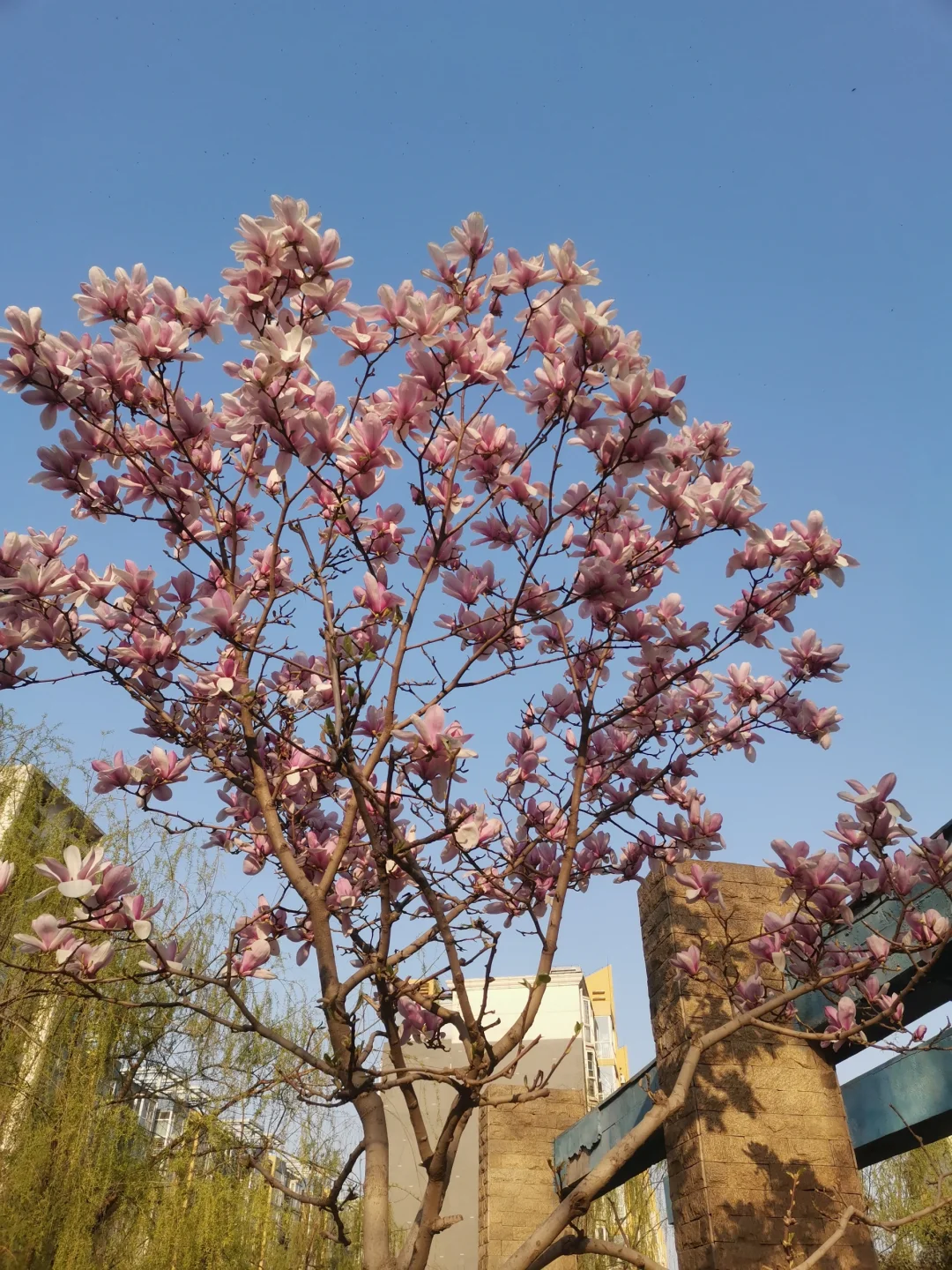 Ps软件网盘下载分享。