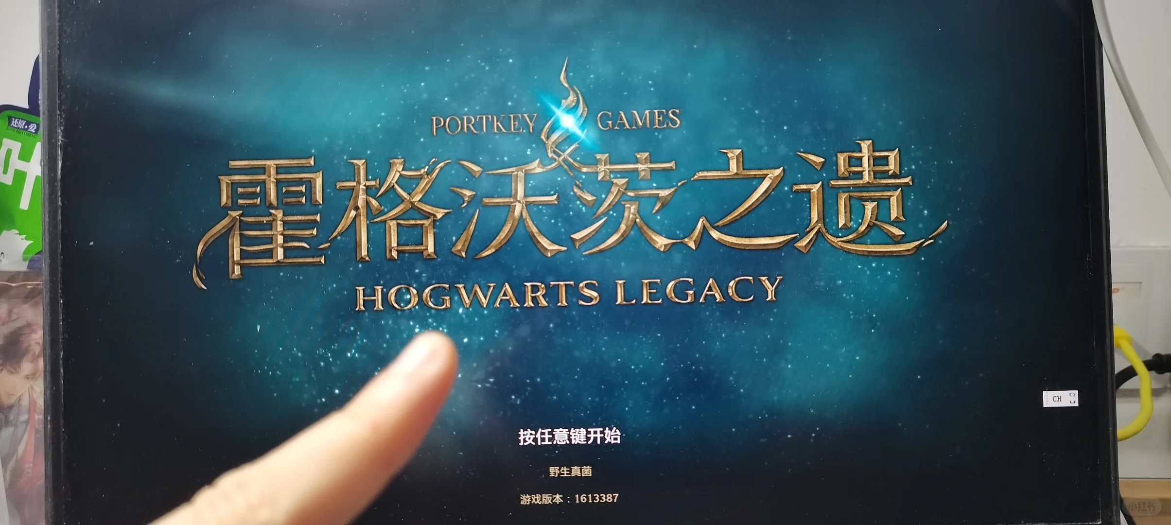 霍格沃兹之遗好无聊的游戏