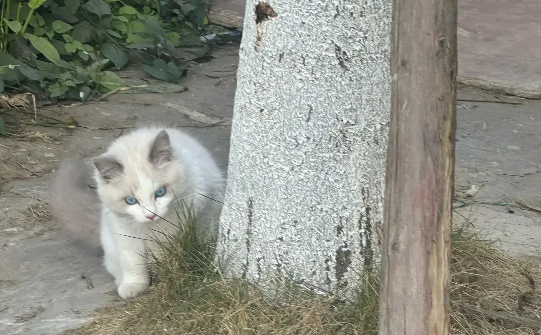 请问epic下载游戏到底要下载几次？