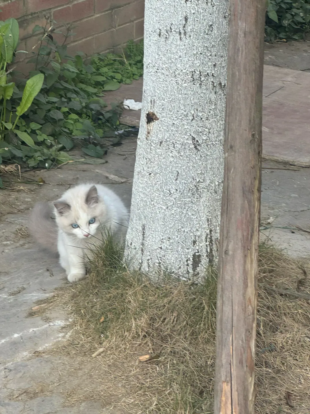 请问epic下载游戏到底要下载几次？