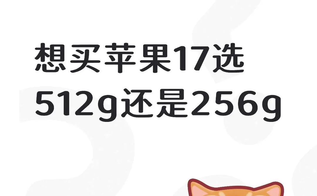 256g还是512g