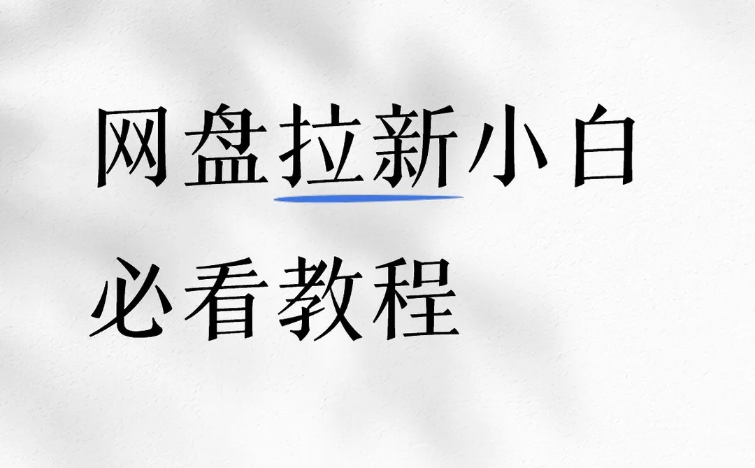 网盘拉新小白必看！蜂小推让你轻松入门