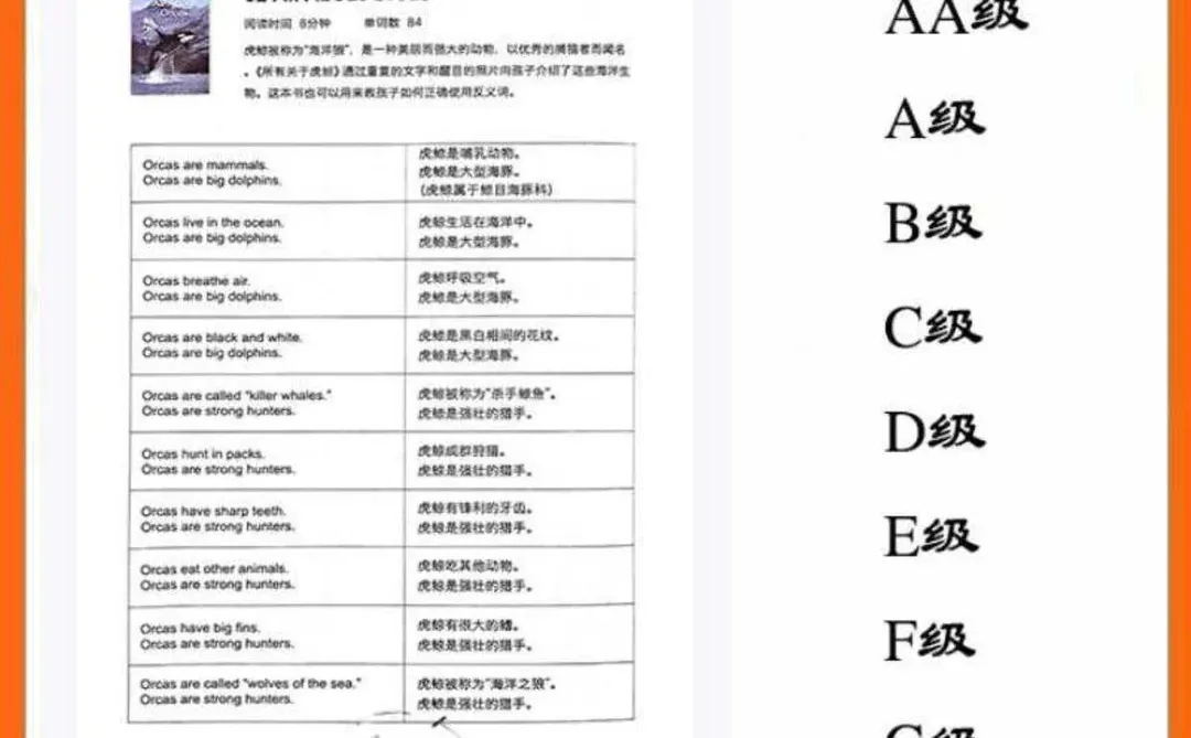 RAZ英语分级阅读翻译手册PDF网盘资源☀️