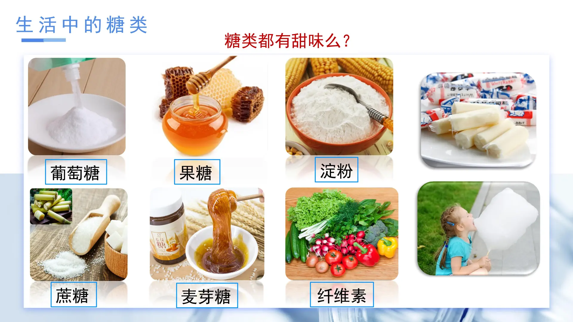 4.1.1 糖类（教学课件）