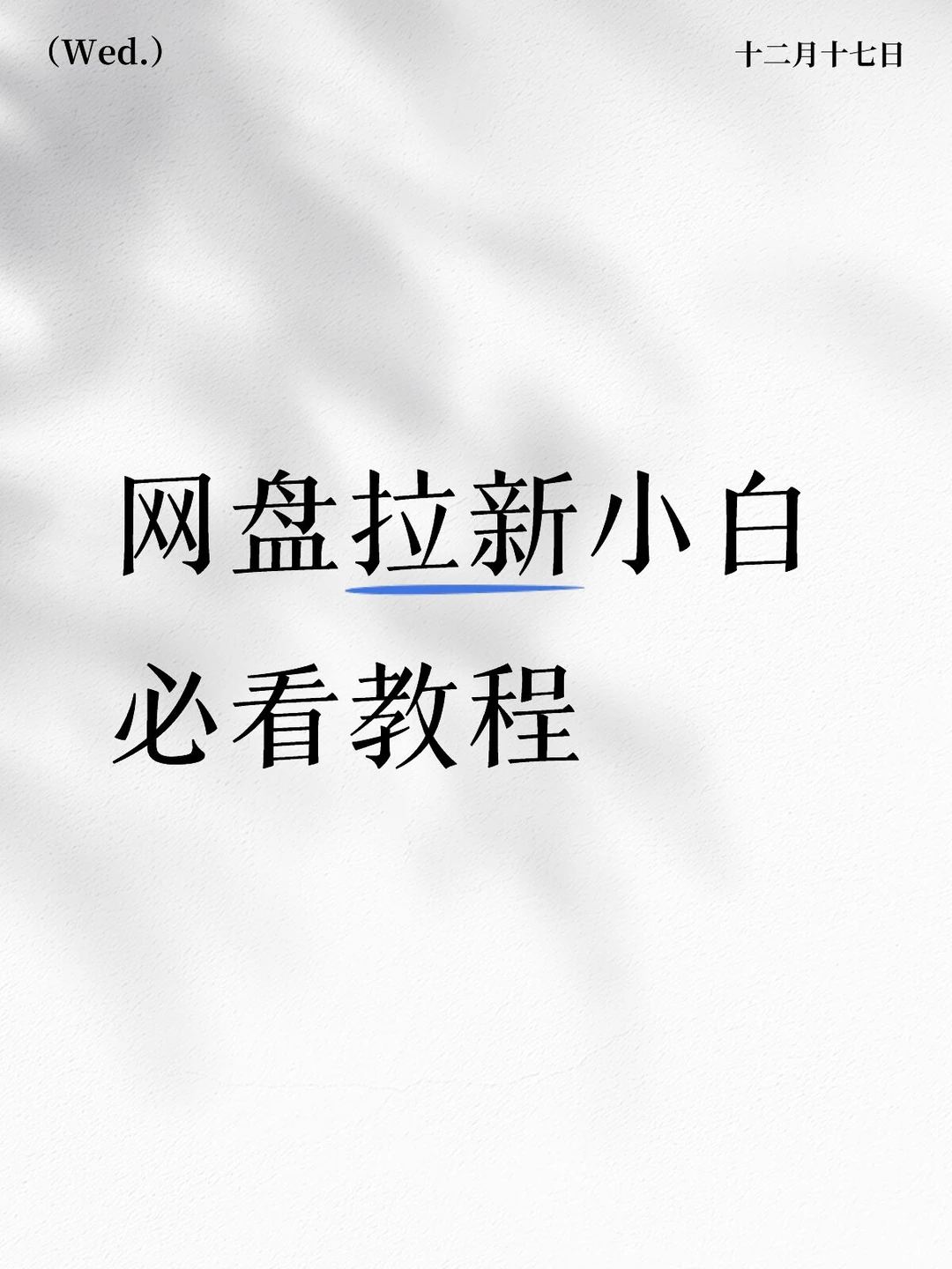 网盘拉新小白必看！蜂小推让你轻松入门