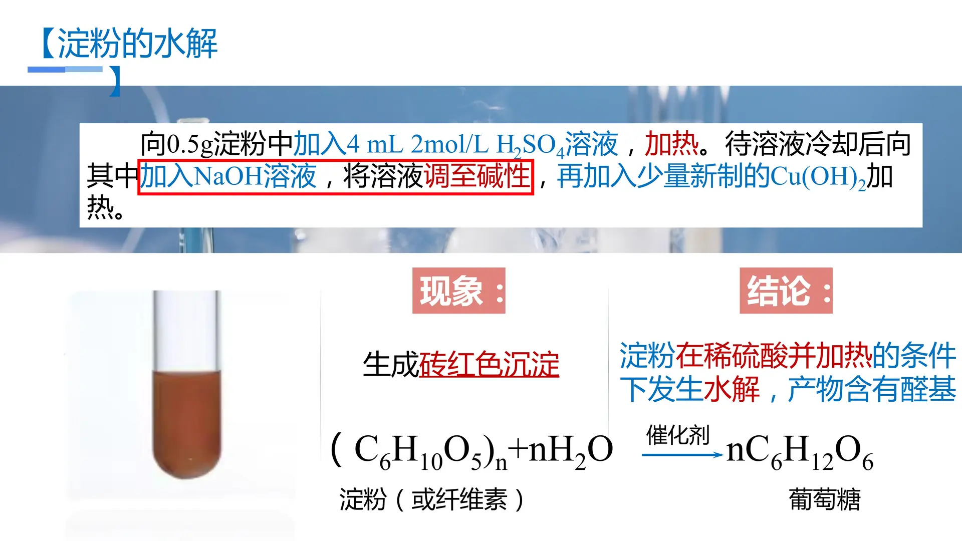 4.1.2 糖类（教学课件）