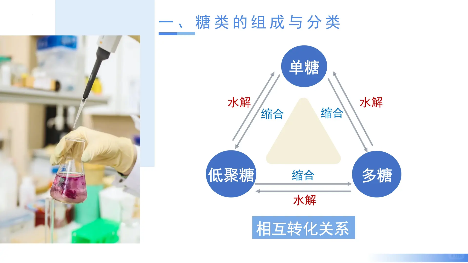 4.1.1 糖类（教学课件）