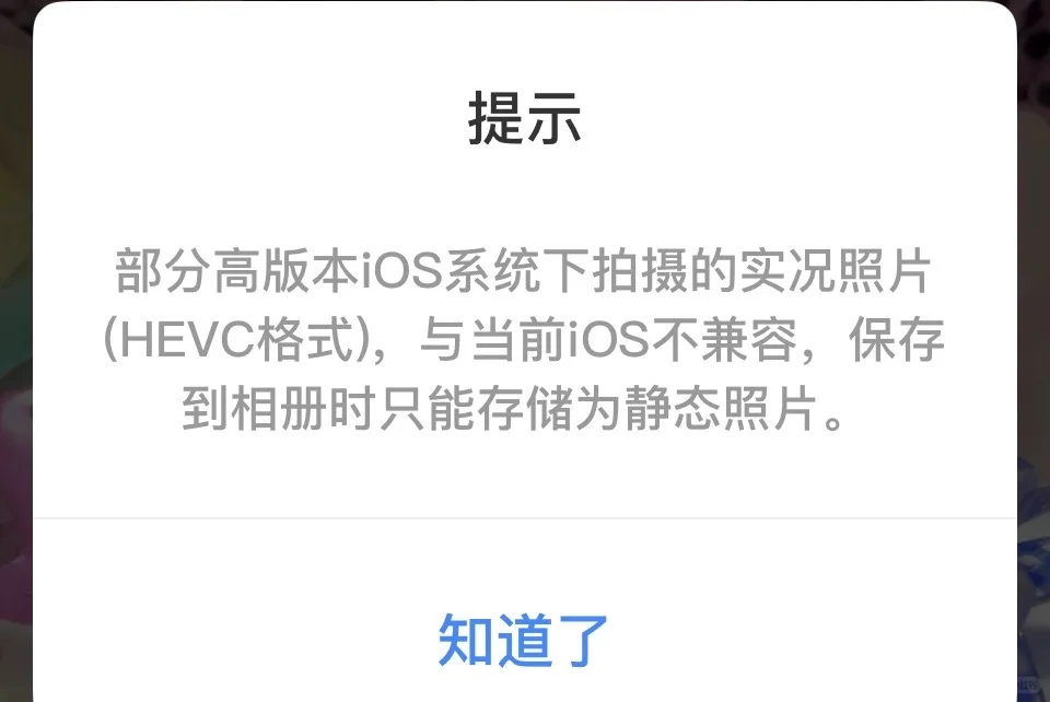 百度网盘的动图下载后就不动了