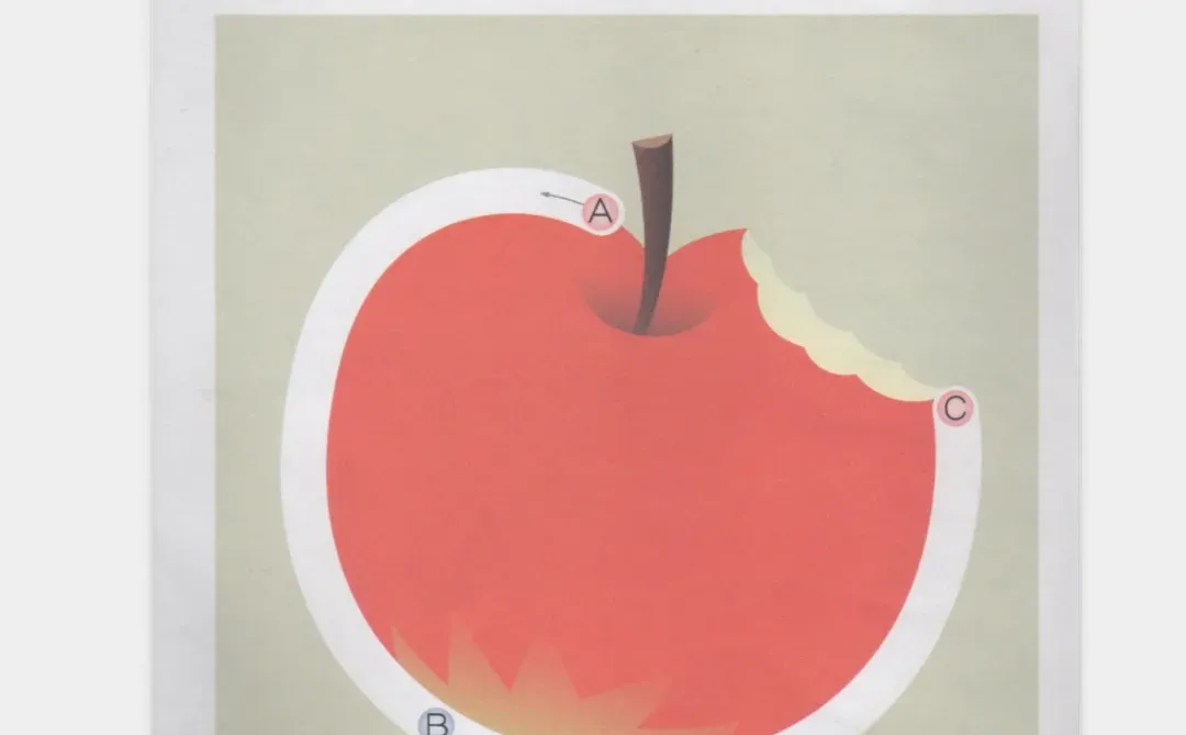 字母游戏（可下载）