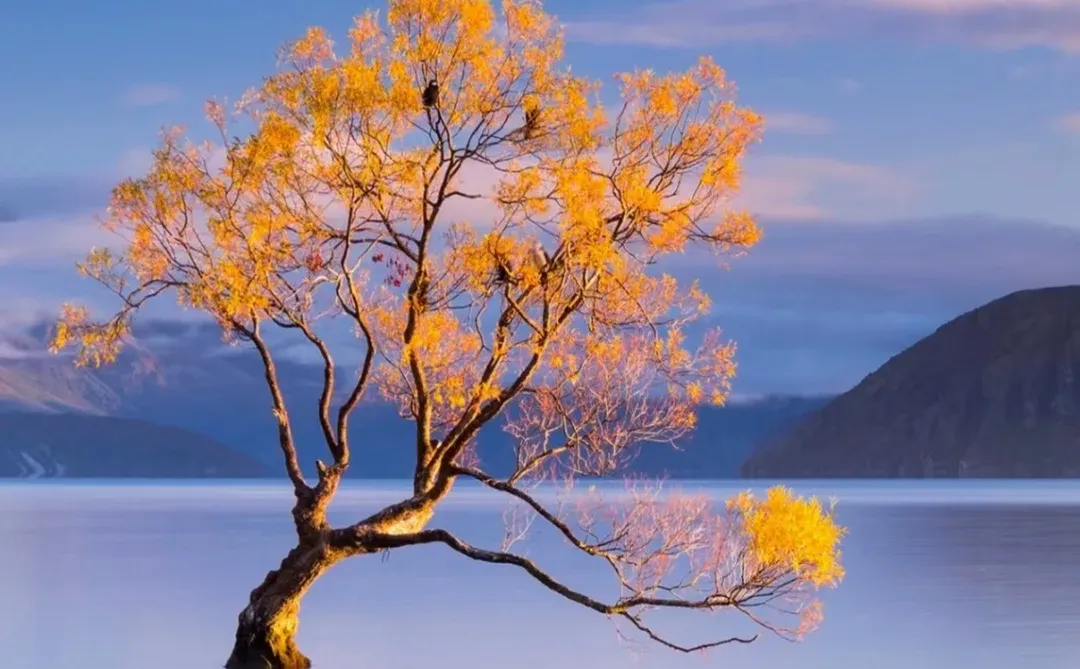 推荐两个资源神器
