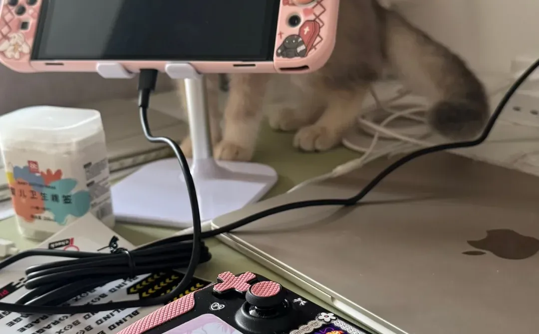 steam冬促有没有啥必买的游戏