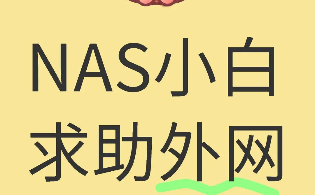NAS小白求助大家