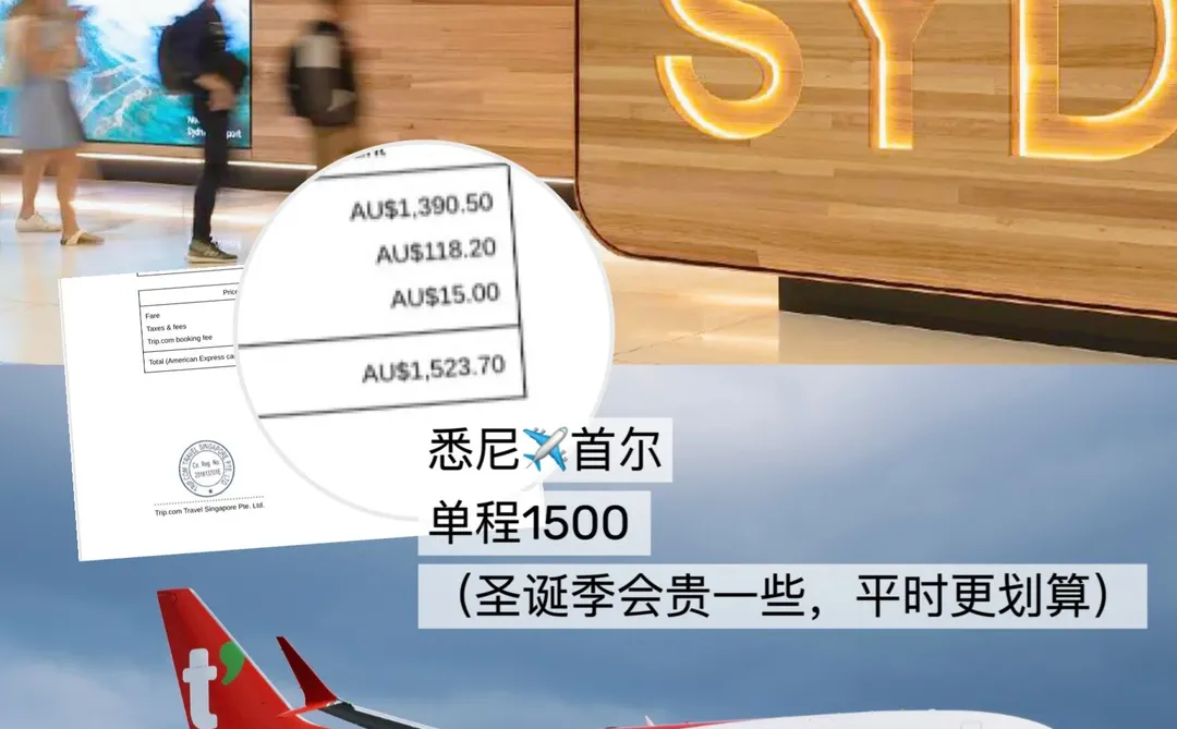 泡面无限续？澳洲✈️韩国：廉航商务舱体验