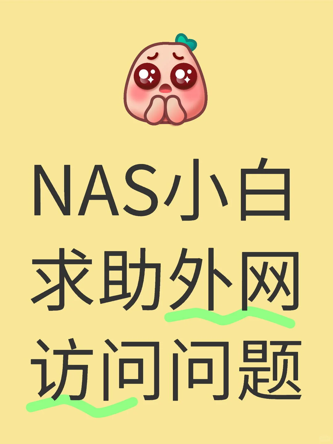 NAS小白求助大家