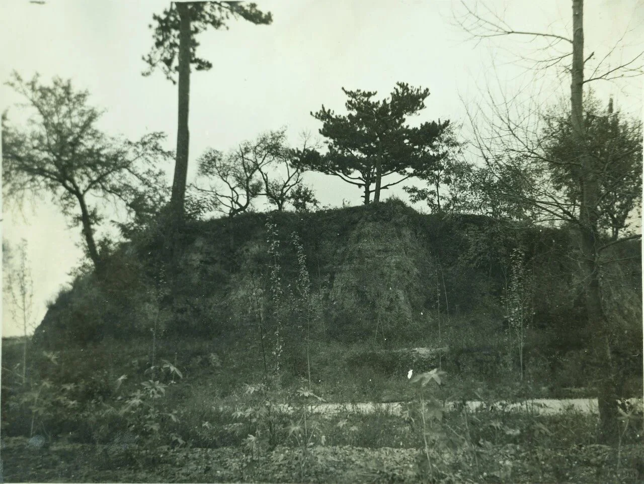 可下载，滚烫的研究成果，南涅水石刻艺术大展