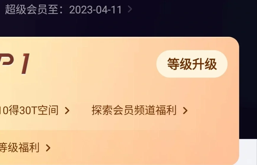 网盘会员免费分享