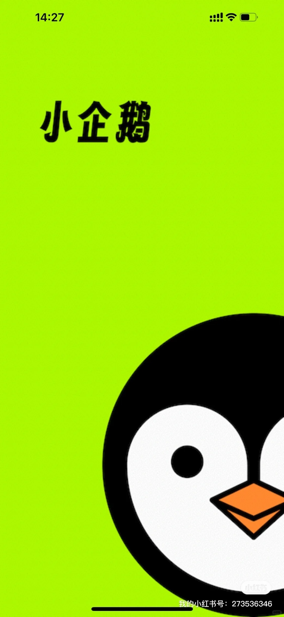 免费看电视，电影