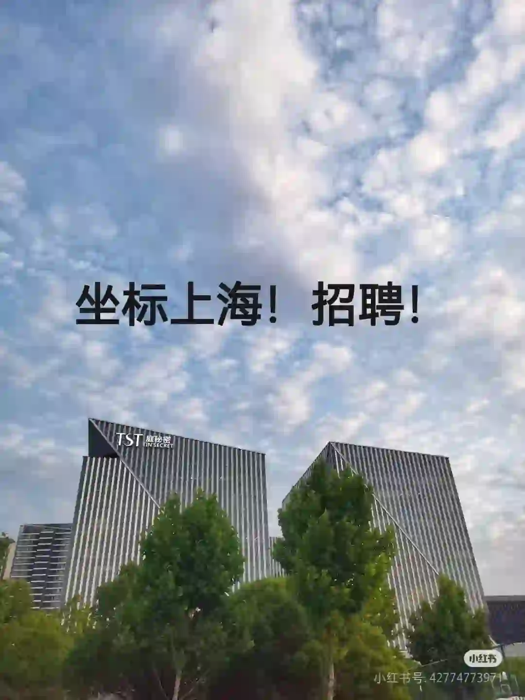 坐标上海！大大方方的！招聘！