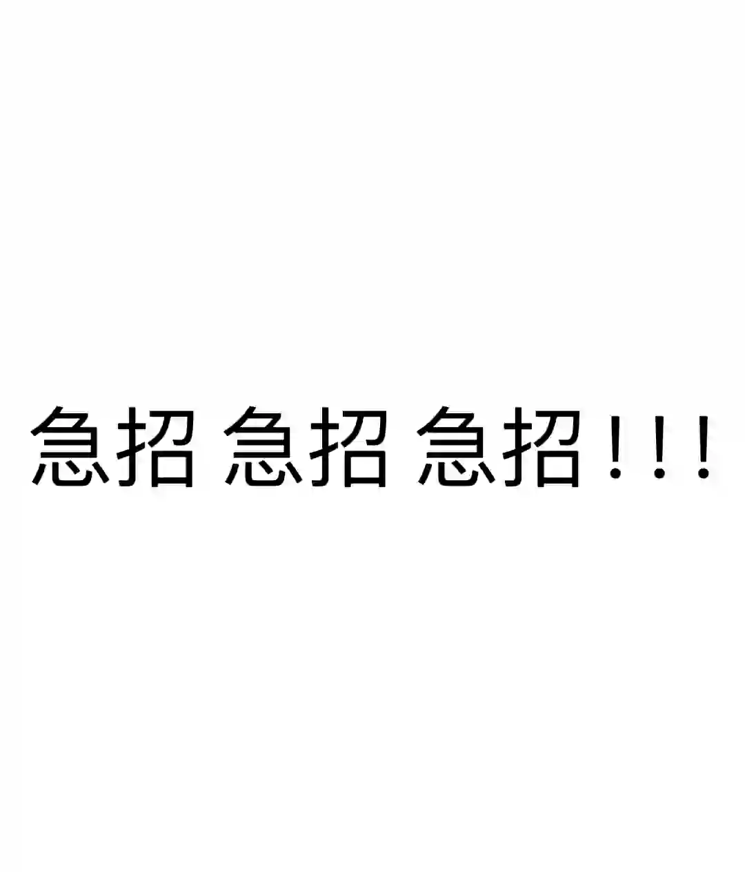 招聘 急招！