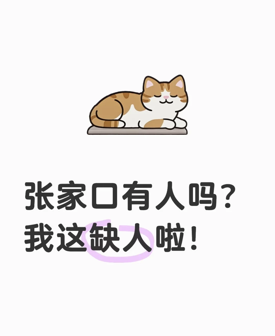 张家口市区招聘啦!!!