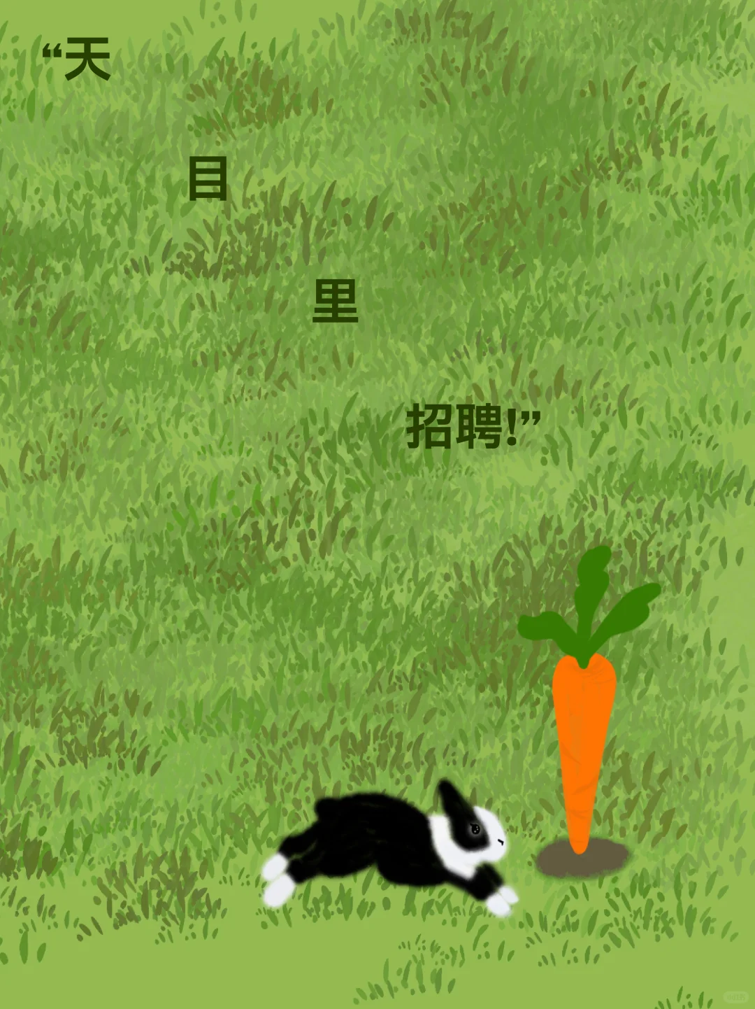 请入坑?️来天目里,做同事~