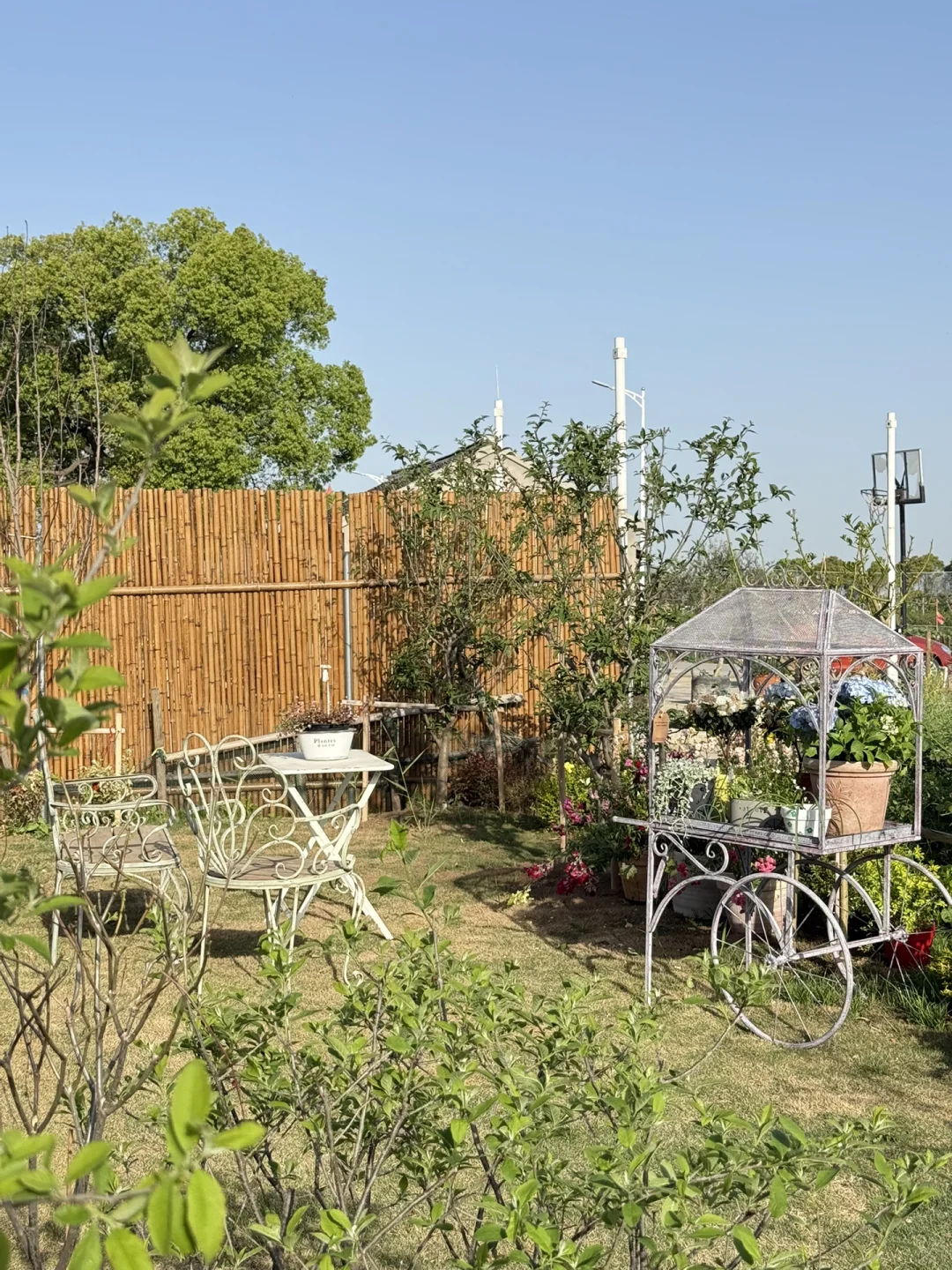 招聘：苏州阳澄湖清水村｜乡村里惬意上班