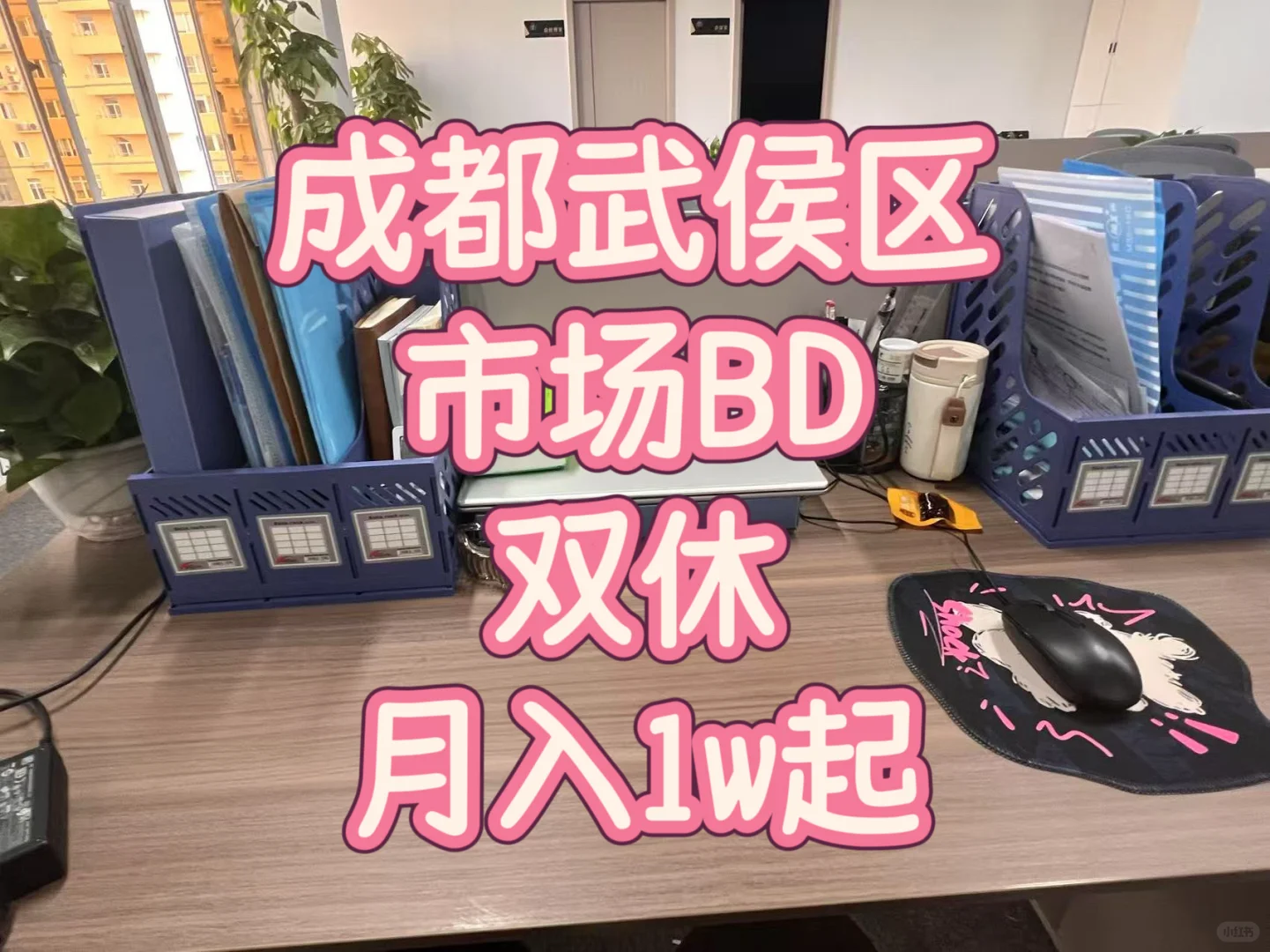 谁来和我一起上班!朝九晚五➕双休!